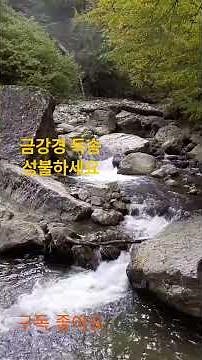 금강경 독송 범철스님 #불교명상#불교명상음악#불교방송#수행#관찰자#석가모니#관세음보살