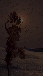 252K views · 10K reactions | Trendy Outfits on Reels | Facebook