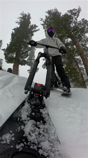 Start the New Year with Snowgo Vertical Ski Bike Fun