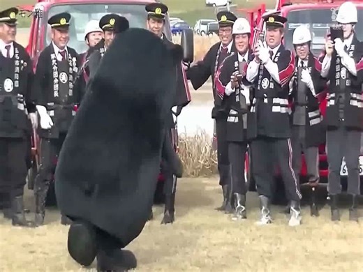 【勇熊字幕组】Kumamon部长放送事故合集