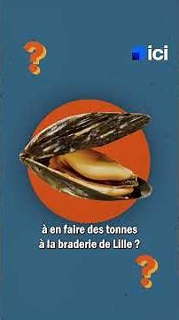 On vous raconte l'histoire de la Braderie de Lille !