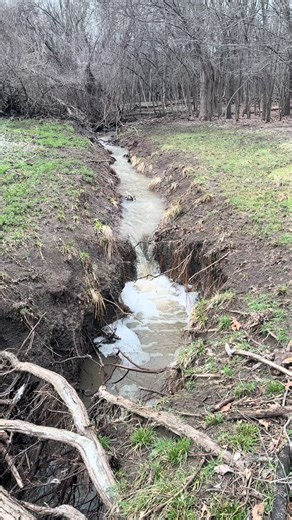 Understanding Watersheds: Their Importance and Function