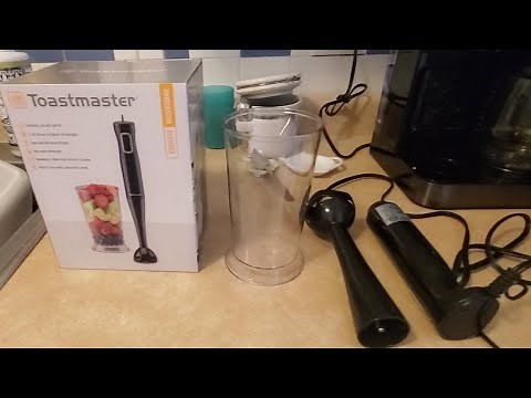 Toastmaster Immersion Handheld Blender, Demo and Product Review