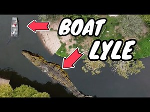 DID LYLE THE NILE CROCODILE ESCAPE⁉️⁉️⁉️