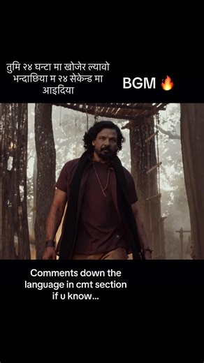 Identify the Language Challenge