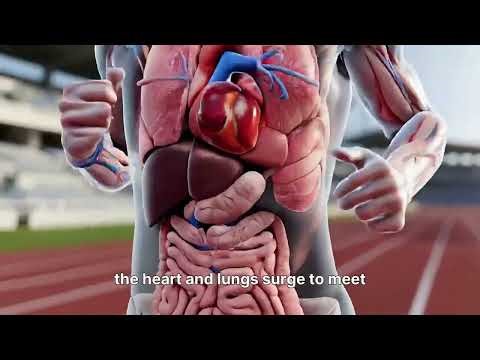 Walk Like an Athlete: 30 Min Stadium Training in 3D