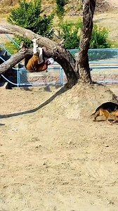 Full funny 😄 #meta | Funny joke