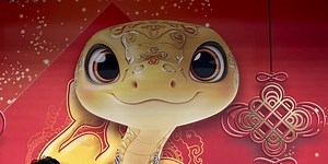 China’s Lunar Mission: Make a Snake That’s Not Scary