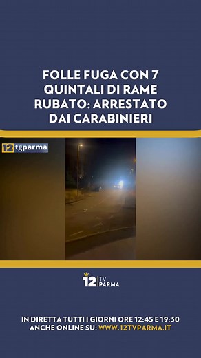 Inseguimento da film ieri sera tra la zona ovest di Parma e il Campus: un 30enne ha rubato 7 quintali di rame da un'azienda ed è fuggito a bordo di un furgone. Dopo 20 km di corsa, gomme forate dai colpi dei Carabinieri e un tentato investimento, è stato bloccato e arrestato nel parcheggio del cinema. Ora è in carcere. #parma #cronaca #notizie #carabinieri #furto #rame #arresto #ladro #sicurezza #12tvparma #perte