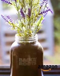 2.6K reactions · 392 shares | Who has the best-smelling house on the block? You will with our newest gardening kit -- the Windowsill Lavender Planter.  With no chemicals, transplanting or draining needed, this aromatic lavender planter allows you to grow + harvest beautiful, #organic lavender year-round! | Back to the Roots | Facebook