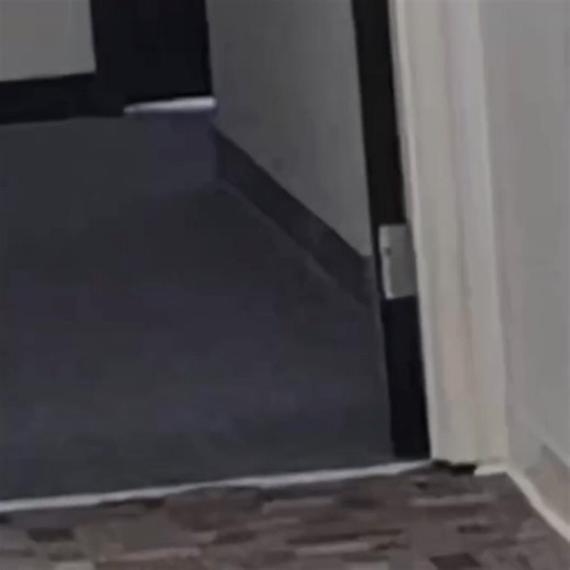 134K views · 8.6K reactions | I'm so proud of this lady standing up to this trans bully. This is how it's done. Don’t let leftists push you around or try to intimate you. Bravo    | Real Lexit | Facebook