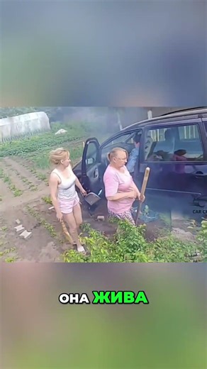 Argument Erupts After Dusty Road Crash #shorts
