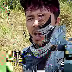 Sarang lebah di pohon Sempu...!! | Cahyadi Channel