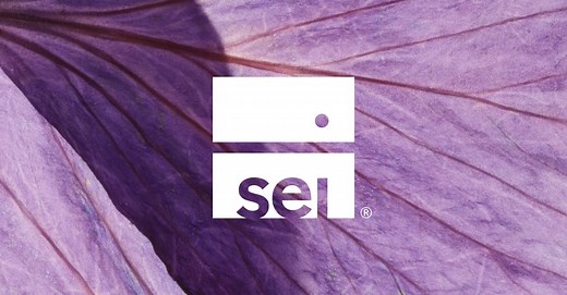 Overview | SEI