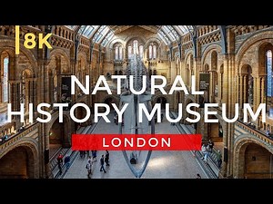 Inside the Stunning Natural History Museum of London in 8K