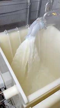 Automatic Paneer Making😱 #shortsvideo #milk