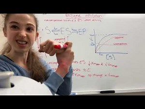 Types of enzyme inhibitors: competitive, noncompetitive, uncompetitive, & mixed inhibition