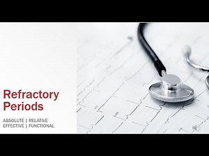 Refractory Periods