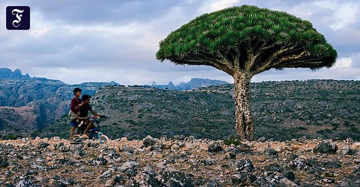 Reise auf die Insel Sokotra im Jemen