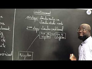 Course - Terminale S2 - SVT: Course summary / The Reflex activity / Mr. Gnasse