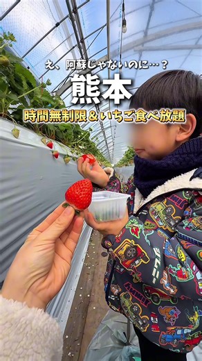 ✅ 行く前に知っておきたい注意点まとめ👇 🍓 予約不要だけど… → 当日のいちごの量で早めに閉園することも⚠️ → 特に週末は混むから午前中が安心！ → 開園状況は【公式X（旧Twitter）】で毎日更新！「エミナース いちご」で検索🔍 → 不安な人は電話での確認が確実📞✨ 👨‍👩‍👧‍👦 団体（20名以上）は予約必須！ → 団体の予約次第で、一般客が入れない日もあるから、事前確認はマスト！ 👜 食べ放題だけじゃない！ → 100g＝270円で持ち帰りもOK🍓✨ → おうちで楽しみたい派にも◎ 🗺️アクセス情報 📍場所：エミナース農園（熊本県上益城郡益城町田原2071-1） 🚗 駐車場：無料あり 🕐 開園時間：10:00〜16:00（※15時受付終了。いちごの生育状況で休園や、早めの受付終了あり） 💰料金 12/20〜4/5 ・いちご食べ放題（時間無制限） 中学生以上：2,200円 小学生：1,700円 3歳以上：1,100円 2歳以下：無料 ・持ち帰り（お土産） 100gあたり270円 4/6〜５月上旬 ・いちご食べ放題（時間無制限） 中学生以上：1,6