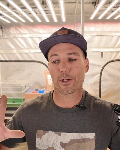 BuildASoil | You don’t need a second grow tent just to pop seeds or root clones. That’s exactly why we started carrying the AC Infinity Propagation... | Instagram