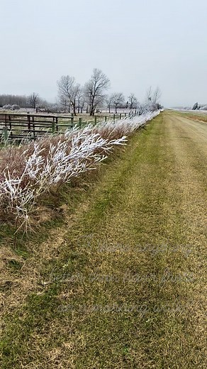 Red Stag Ranch on Reels