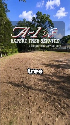 Clear Out Brush, Overgrowth & Small Trees 🌿🌳