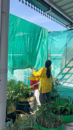 Green shade for plants in the summer 🌱#garden #plantcare #plantlover #gardening #terracegardenindia