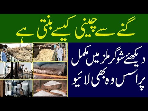 Rizwan Punjabi Live Stream