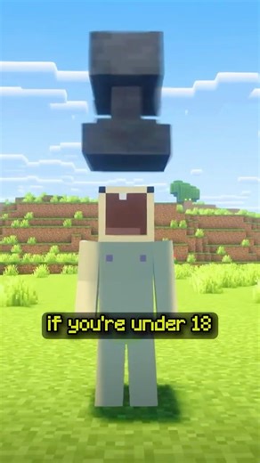 Minecraft just BANNED chats! (Age Verification)