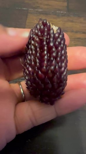 2.8K views · 148 reactions | I must say, this strawberry popcorn corn...