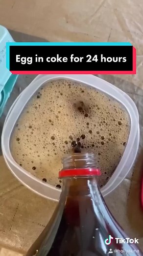 The Effects of Soaking an Egg in Coke for 24 Hours