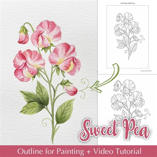 April Birth Month Flower Tutorial | Sweet Pea Watercolor Painting Template | DIY Card | Printable Outline Drawing - Etsy Australia