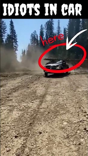 Huge Tree Falls on Car in Forest | Shocking Moment