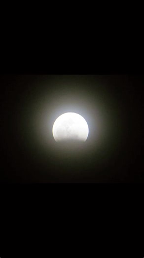 ✨ Enjoying The Super Blood Wolf Moon Eclipse In Dallas, Texas 🇺🇸… What An Absolutely Amazing Experience. The Sky Never Fails To Impress ✨ #SuperBloodWolfMoon #LunarEclipse #DallasTexas #NightSkyMagic #MoonLovers