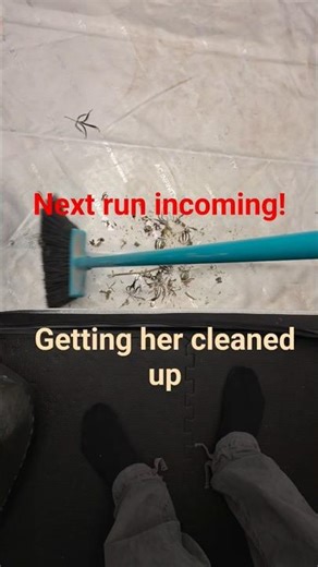 Resetting the 5x5 🌱 Next run already started.