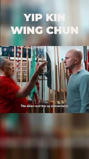 Yin Yang Hands - Yip Kin Wing Chun
