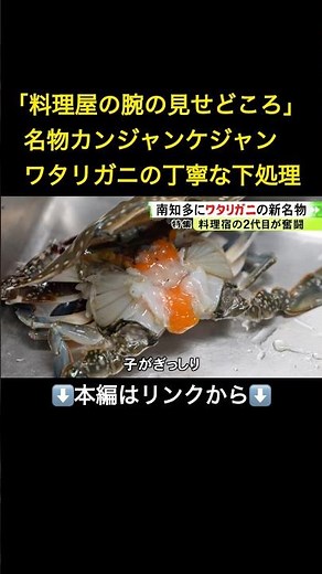 ⬆️本編はリンクから⬆️地元産のワタリガニを使用…愛知県南知多町の料理宿で話題の『カンジャンケジャン』新名物を生んだ試行錯誤#shorts