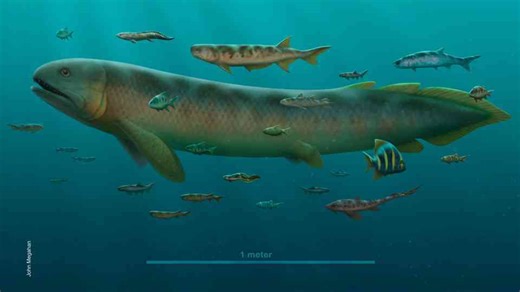 359 million years ago, 96% of fish died - and human evolution began