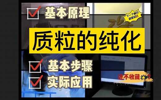 构建过表达载体四|分子克隆|质粒载体的纯化|载体纯化的原理|基本步骤|实际应用