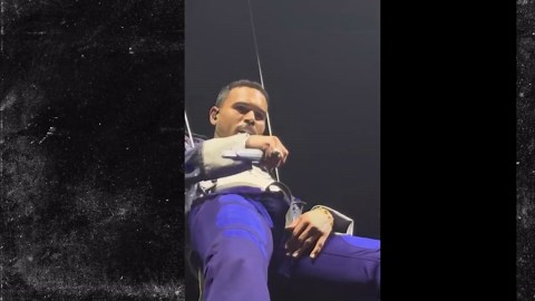 Chris Brown's Bulge Goes Viral After Fans Spot Huge Imprint at Concert