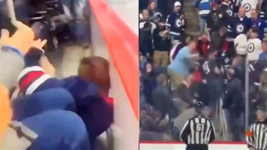 NHL shocked by horrific injury sustained by fan who got caught up in fight in stands