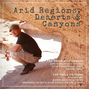 9.7K views · 392 reactions | The survival year in review! #thursdaythoughts #survivorman #lesstroud ~ Web Girl | Survivorman - Les Stroud | Facebook