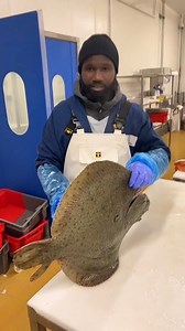 We’re at the fish markets with @harounabrt who shows us how to clean and fillet a MASSIVE Turbot fish. 😳🐟 Have you ever eaten Turbot? What does it taste like? 🤷🏽‍♂️ | Foodporn