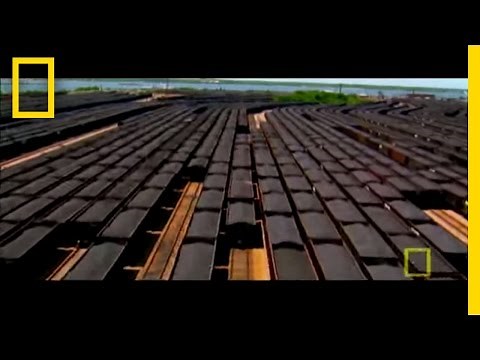 When Humans Disappear | National Geographic