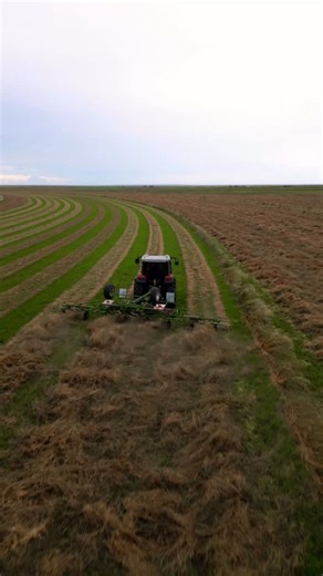 Tedder raking 🚜 #degforages #farming #agriculture #alberta #hay #johndeere #rake #farmer #farmlife #fyp | Deg Forages Ltd.