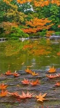 ✨ Cozy Morning Jazz | Relaxing Smooth Jazz & Soft Breeze Ambience