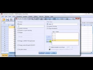SPSS for newbies: grouping categories by using the button "recoding into different variables" Video Lecture | SPSS: For Beginners - Data and Analytics