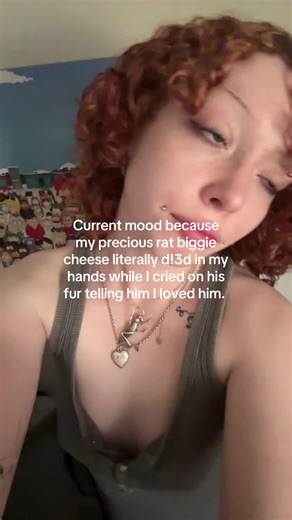 Honoring the Memory of a Beloved Pet Rat